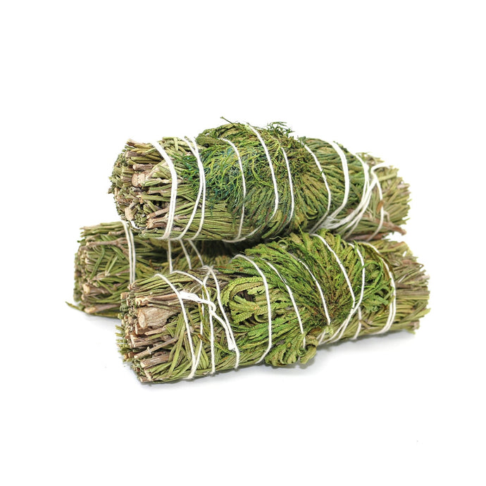 Rosemary and Rose of Jerico Smoke Bundle