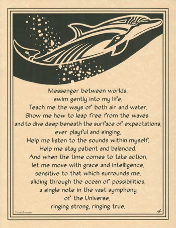 Dolphin Page