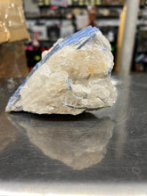 Blue Kyanite (1.385lb)