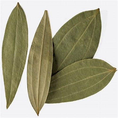 Lg. Cinnamon Leaves