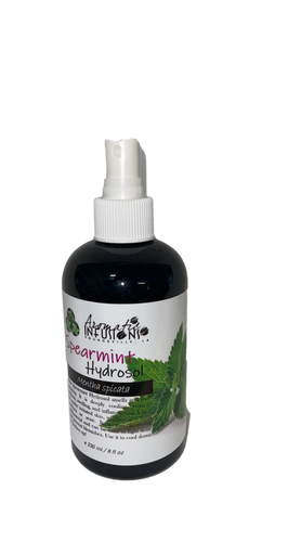 Spearmint Hydrosol 2 oz.