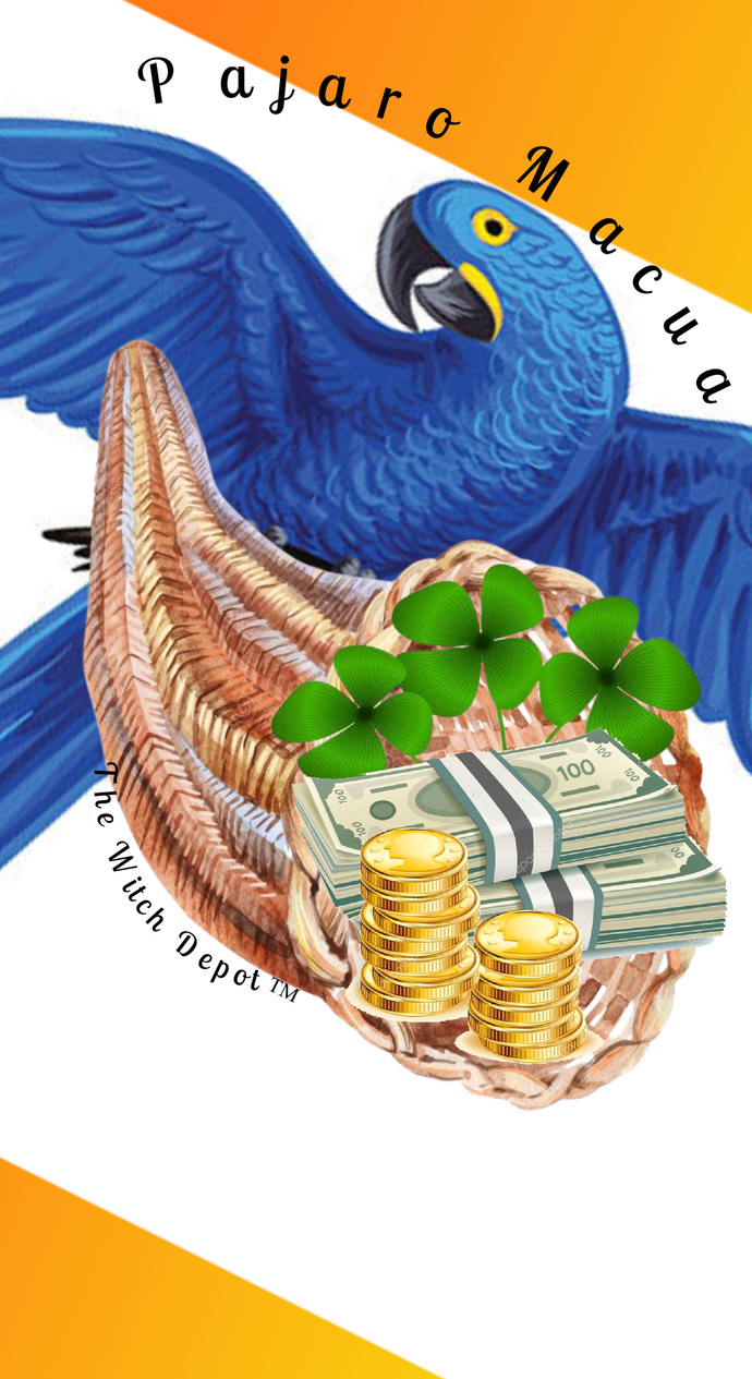 Pajaro Macua (Blue Macaw) Exclusive 7 Day Candles