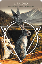 Animal Guide Rune Cards