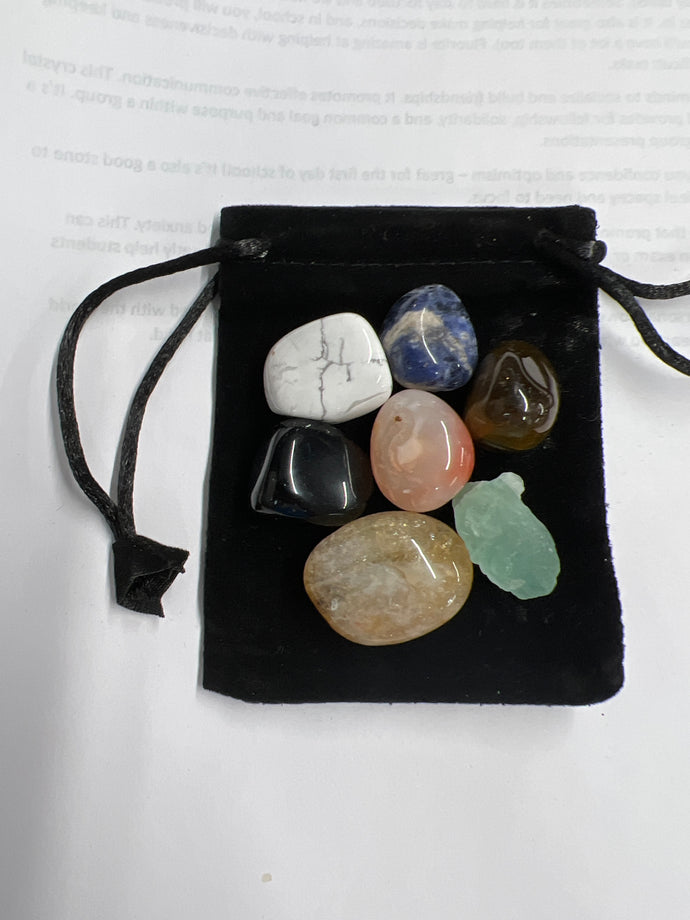 Back to School Stone Bag