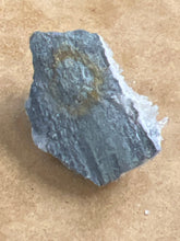 Clear Quarts Needle Cluster (10)