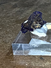 Azurite in Perky Box on Acrylic Stand (1)