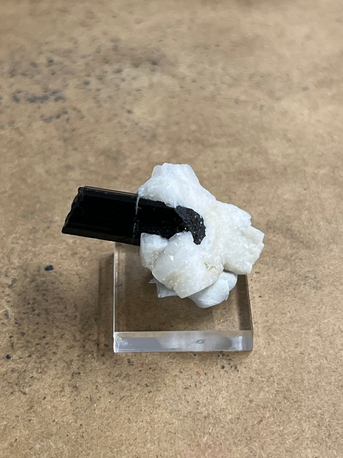 Black Tourmaline Specimen 13