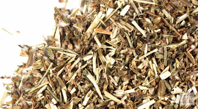 Motherwort
