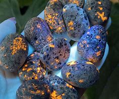 Yooperlite (Syenite), Tumbled