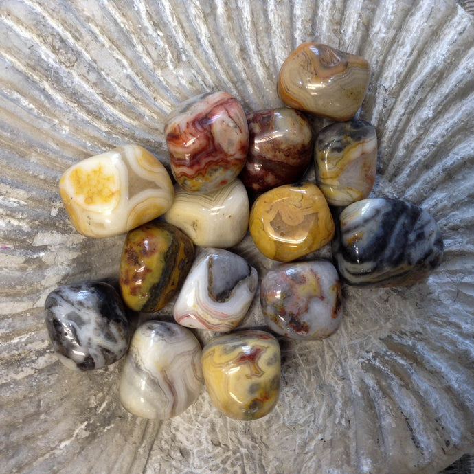 Crazy Lace Agate, Tumbled
