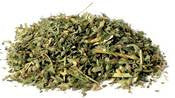 Catnip, Organic