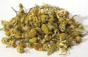 Chamomile, Organic
