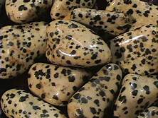 Dalmatian Jasper, Tumbled