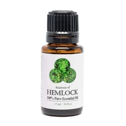 Hemlock Essential Oil
