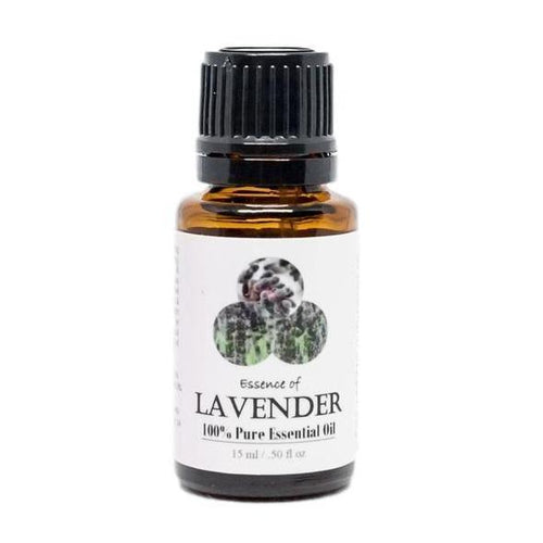 Lavender Essential Oil