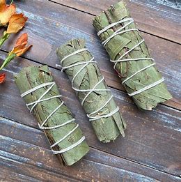 Eucalyptus Smoke Bundle