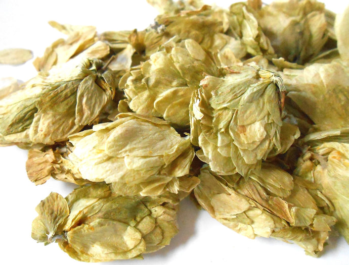 Hops Flowers
