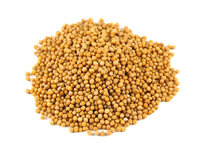 Mustard Seed, Yellow,
