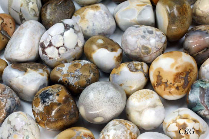 Conglomerate Jasper, Tumbled