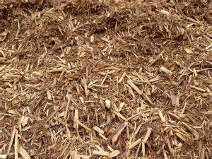 Palo Santo Shavings