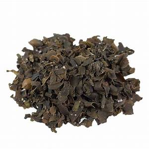 Bladderwrack