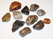 Petrified Wood, Tumbled