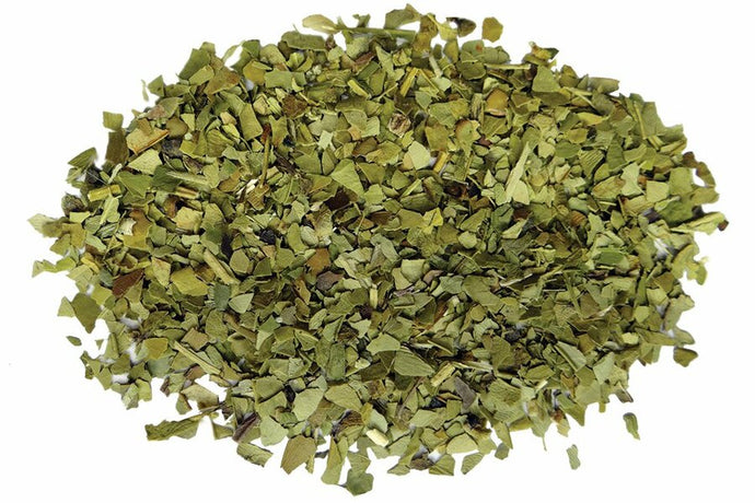 Yerba Mate Leaf, Green