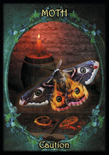 Witches' Familiars Oracle Cards