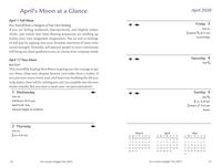 Llewellyn's 2026 Moon Sign Book