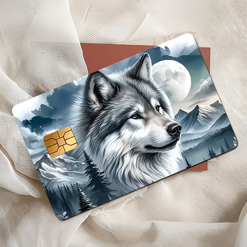 Credit Card/Debit Card Skins