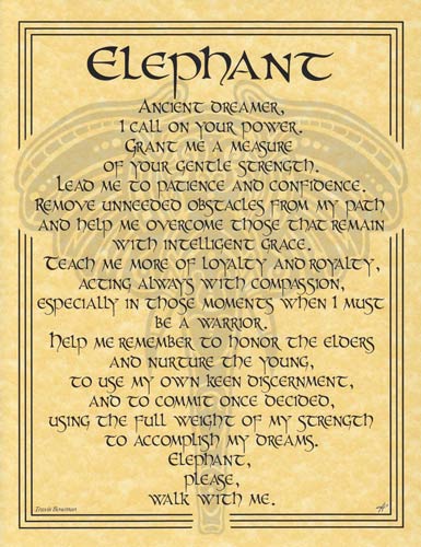 Elephant Page