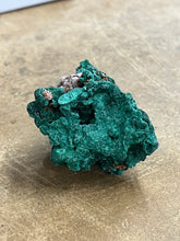 Silky Malachite (Kasompe, Congo) (1)