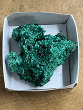 Silky Malachite (Kasompe, Congo) (2)