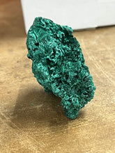 Silky Malachite (Kasompe, Congo) (2)