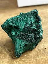 Silky Malachite (Kasompe, Congo) (3)