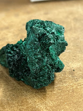 Silky Malachite (Kasompe, Congo) (3)