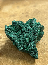 Silky Malachite (Kasompe, Congo) (3)