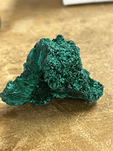 Silky Malachite (Kasompe, Congo) (3)