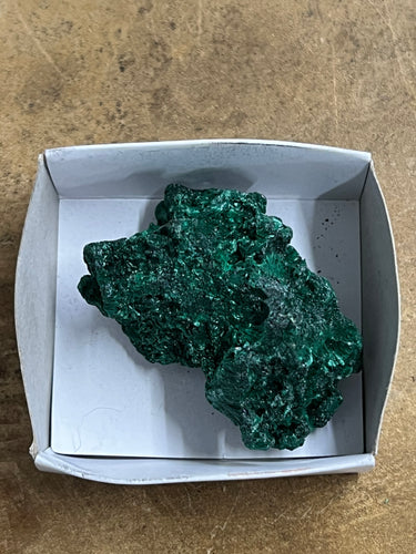 Silky Malachite (Kasompe, Congo) (4)