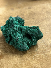 Silky Malachite (Kasompe, Congo) (4)