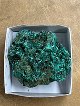 Silky Malachite (Kasompe, Congo) (5)