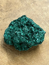 Silky Malachite (Kasompe, Congo) (5)