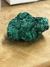 Silky Malachite (Kasompe, Congo) (5)