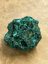 Silky Malachite (Kasompe, Congo) (5)