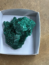 Silky Malachite (Kasompe, Congo) (6)