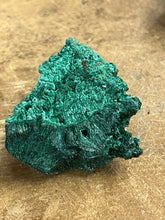 Silky Malachite (Kasompe, Congo) (6)