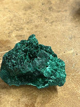 Silky Malachite (Kasompe, Congo) (6)