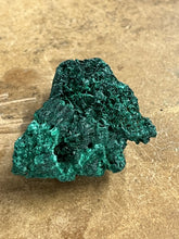 Silky Malachite (Kasompe, Congo) (6)