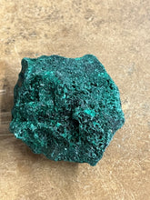 Silky Malachite (Kasompe, Congo) (7)