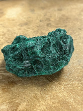 Silky Malachite (Kasompe, Congo) (7)